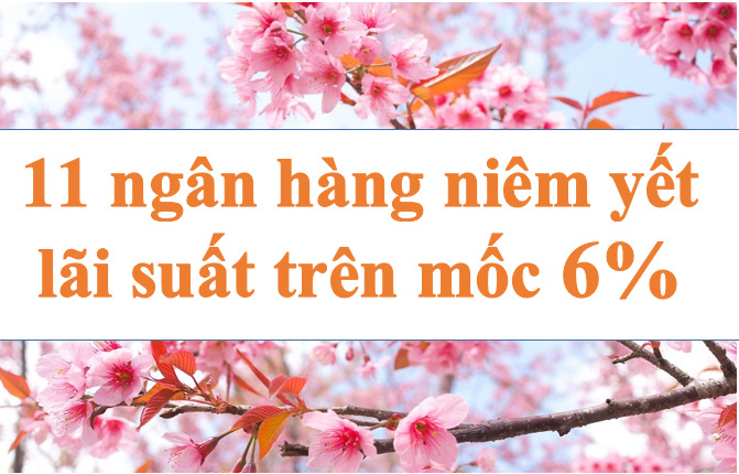 Lãi suất ngân hàng hôm nay 13.7: Tăng mạnh, 11 ngân hàng trên mốc 6%